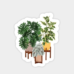 House Plants Illustration 27 Sticker